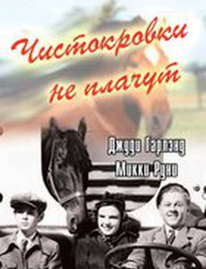 Чистокровки не плачут