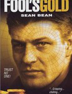 Fool's Gold: The Story of the Brink's-Mat Robbery