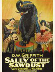 Салли из опилок