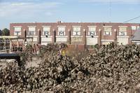 Кадр Ходячие мертвецы