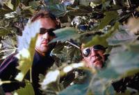 Кадр Влюбленные парни