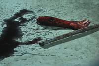 Кадр Добыча