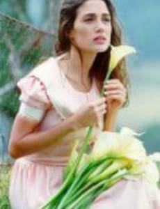 Независимая