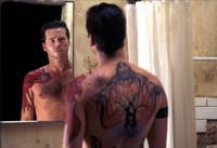 Кадр Море Солтона