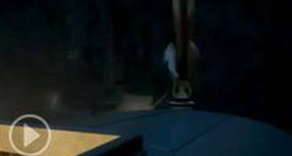 Мультфильм 