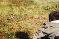 Кадр Ключ Саламандры