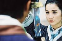 Кадр Бабочки-любовники