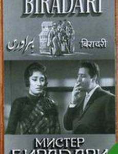 Мистер Бирадари