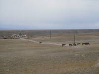 Кадр Дикое поле