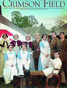 Багряное поле (мини-сериал)