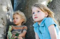 Кадр Дерево