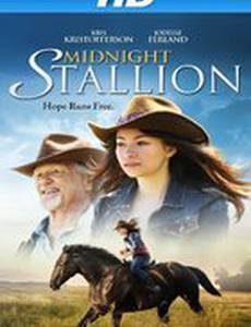 Полночный жеребец