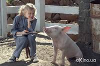 Кадр Паутина Шарлотты