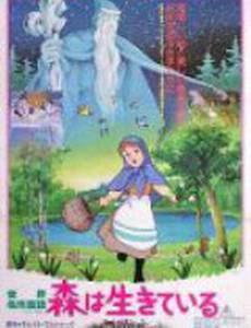 Двенадцать месяцев