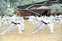 Кадр Серебряный ястреб