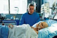 Кадр Лебеди