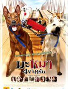 Дорожная банда «4 лапы»