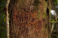 Кадр Никто не выживет