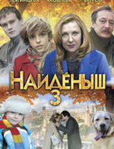 Найденыш 3 (мини-сериал)