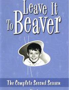 Предоставьте это Биверу