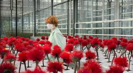 Кадр из фильма "Малыш Джо" - 2