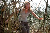 Кадр Петля времени