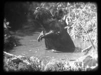 Кадр Деревянная комната