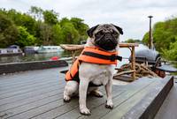 Кадр Патрик 