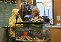 Кадр Всё тип-топ, или Жизнь на палубе