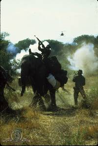 Кадр Под огнем