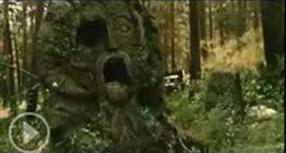 Фрагмент №4