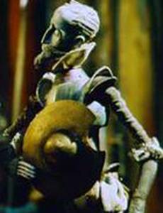 Освобожденный Дон Кихот