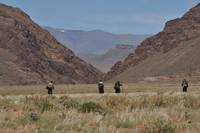 Кадр Путь домой