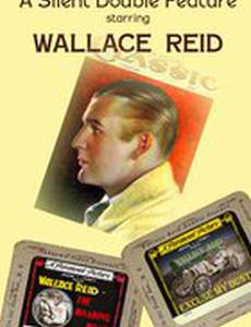 Прости мой прах