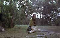 Кадр Виолончель