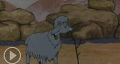 Мультфильм 