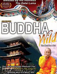 Buddha Wild: Monk in a Hut