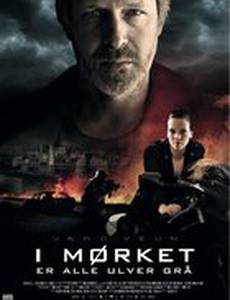 Варг Веум: Ночью все волки серы