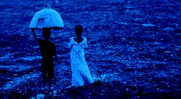 Кадр из фильма "Синяя птица" - 2