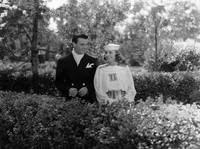 Кадр Разрисованная вуаль