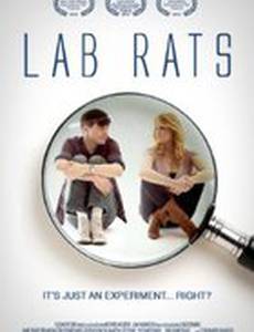 Lab Rats