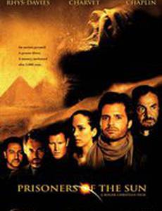 Пленники солнца