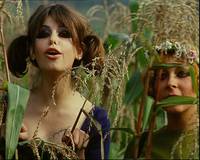 Кадр Маргаритки