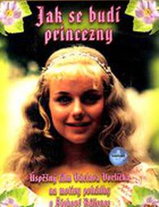 Как разбудить принцессу