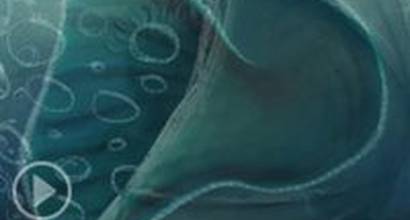 Альтернативное начало 