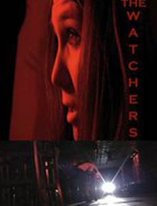 Наблюдатели