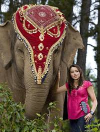 Кадр Слон и принцесса