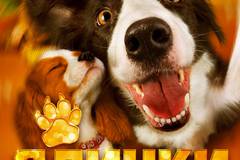 Ёлки лохматые