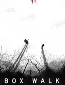 Box Walk