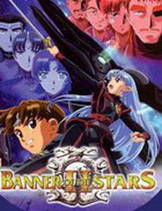 Звездный флаг 2